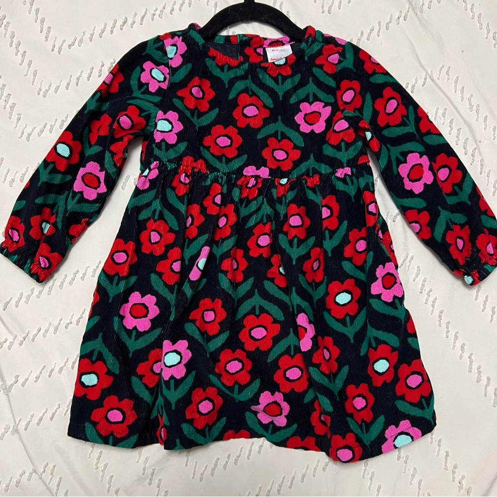 Hanna Andersson Cotton Floral Kids Dress - Pink and Red, 2T